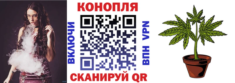 Виды наркотиков купить Севск ГАШ  Марихуана  СОЛЬ  Псилоцибиновые грибы  КОКАИН  Меф 
