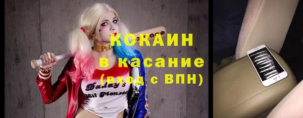 гидра Аркадак