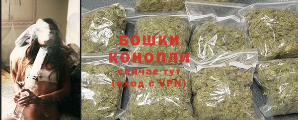 прущие грибы Нязепетровск