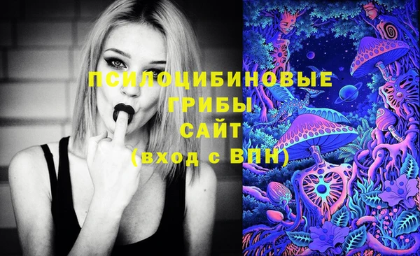гидра Аркадак